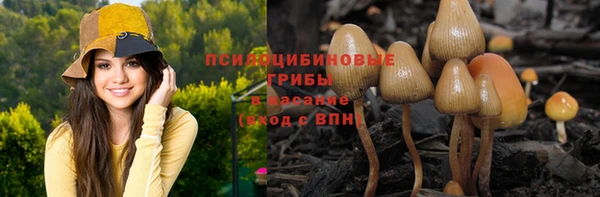 ПСИЛОЦИБИНОВЫЕ ГРИБЫ Арсеньев