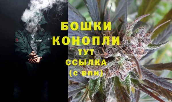 ПСИЛОЦИБИНОВЫЕ ГРИБЫ Арсеньев
