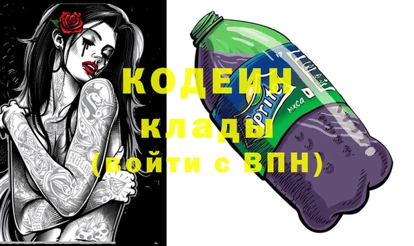 ПСИЛОЦИБИНОВЫЕ ГРИБЫ Арсеньев