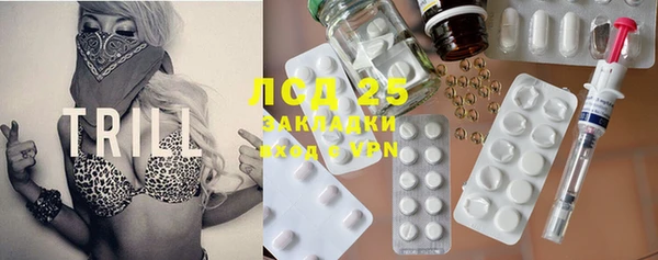 ПСИЛОЦИБИНОВЫЕ ГРИБЫ Арсеньев