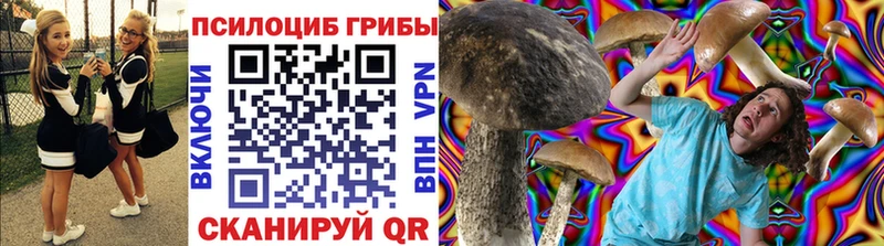 сколько стоит  Ишим  Галлюциногенные грибы Cubensis 